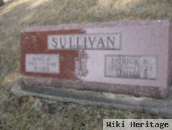 Mary Ellen Brown Sullivan