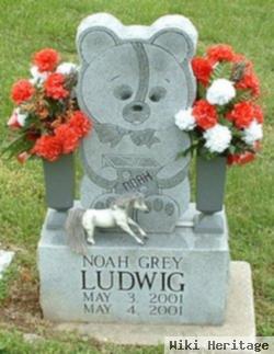 Noah Grey Ludwig