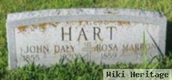 Rosa Marron Hart