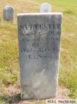 Sylvester Galley