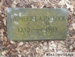 Catherine Alice White Hallock