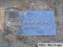 Vernon Albert Palmer