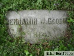 Benjamin J Goodin