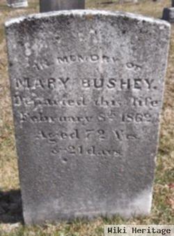 Mary Ridinger Bushey