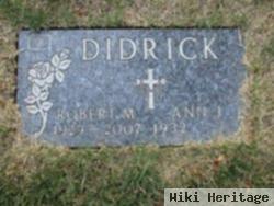 Robert M Didrick