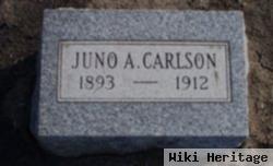 Juno A. Carlson