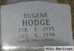 Eugene Hodge