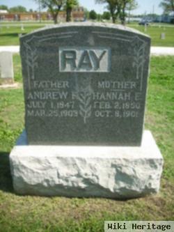 Andrew F Ray