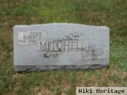 Albert P. Mitchell