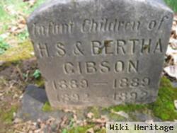 Infant Gibson