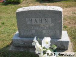 Henry Hahn