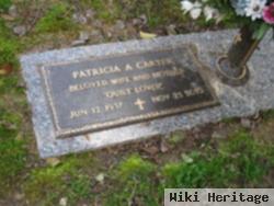 Patricia Ann "pat" Carter
