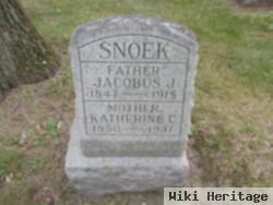 Jacobus J Snoek