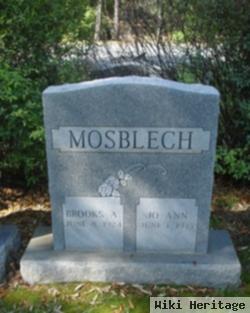 Jo Ann Mosblech