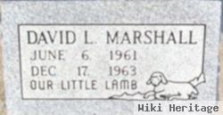 David L Marshall