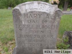 Mary A. Blodgett