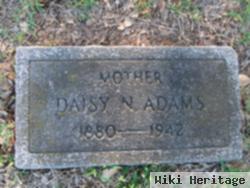 Daisy N. Adams