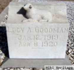 Lucy A. Goodman
