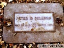 Peter E Sullivan