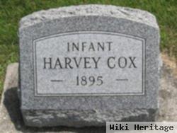 Harvey Cox