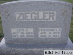 Levi A. Ziegler