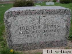 Andrew Burns