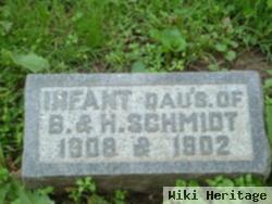 Infant Schmidt