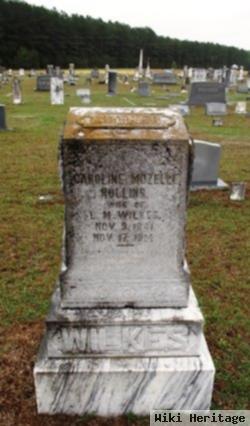 Caroline Mozelle Rollins Wilkes