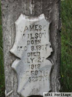 James Edenfield Wilson