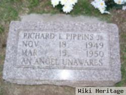 Richard L. Pippins, Jr