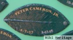 Peter Cameron, Jr
