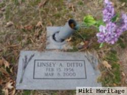 Linsey A Ditto