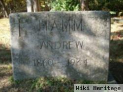 Andrew Hamm