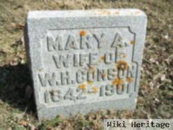 Mary A. Sanders Corson