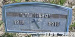 B. W. Nelson