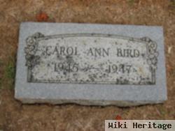 Carol Ann Bird