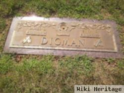 James Leland Digman