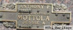 Anthony P Mottola