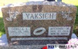 Michael M Yaksich