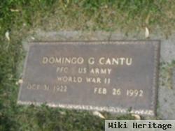 Domingo G Cantu