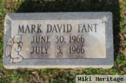 Mark David Fant