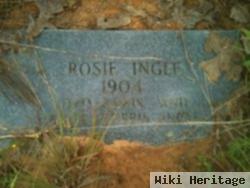 Rosie Ingle