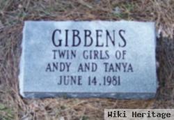 Baby Girl Twins Gibbens