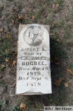 Robert A Bugbee