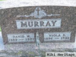 David W Murray