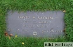 David M Saykin