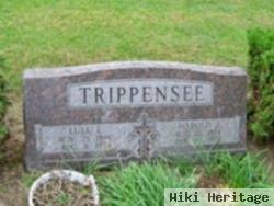 Harold J Trippensee