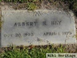 Albert E. Ely