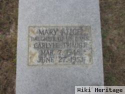 Mary Alice Trimble