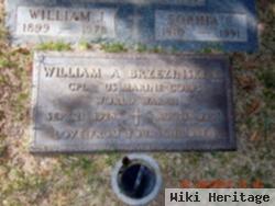 William A Brzezinski, Jr